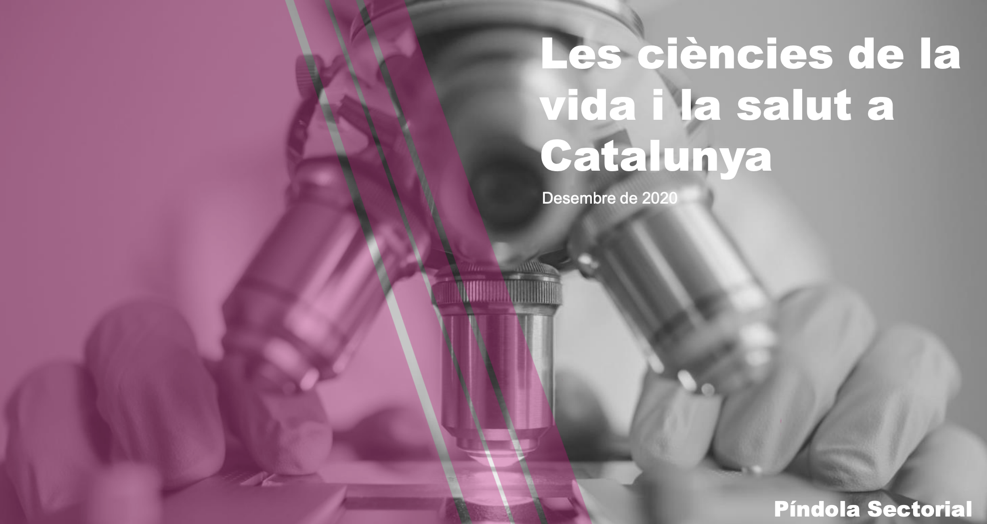 Captura de pantalla 2021-01-13 a las 9.23.00